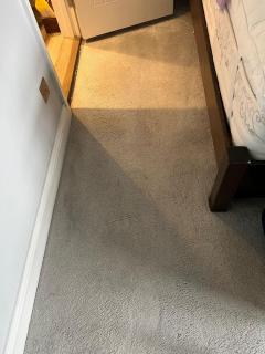 Affordable Carpet Cleaning In North London