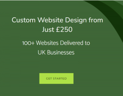 Are You Looking For A Website Design Service In 
