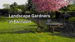 Transform Your Garden With Expert Landscape Gard