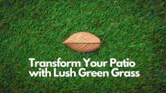 Transform Your Patio With Lush Green Grass