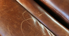 Leather Sofa Scratch Repair