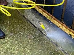 Expert Moss Removal In Bristol By Professionals