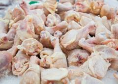 Top-Notch Quality Frozen Chicken For Sale