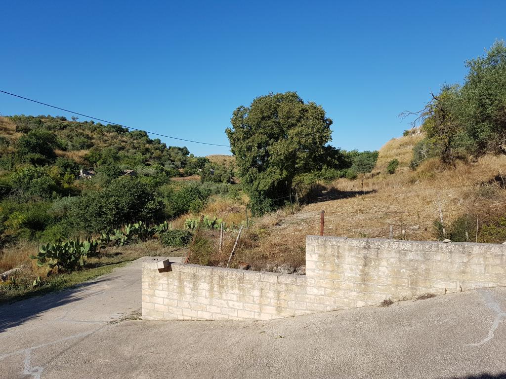 Multiple properties in Sicily on 30,000 sq m olive,carob,almond grove 3 Image