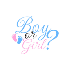 Reveal Your Bundle Of Joys Gender Early Blue Or 