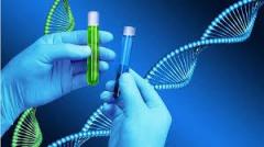 Blue Or Pink Discover Early Gender Dna Test In T