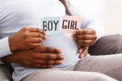 Planning A Gender Reveal? Start With Our Baby Ge