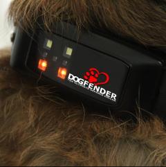 Advanced, Robust Dog Defence Collar Uk