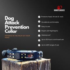 Invest On A Premium Dog Collar In Uk, Dogfender