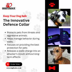 Dogfenders Best Dog Collars In The Uk  Comfort, 