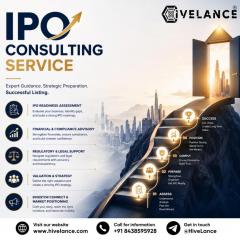 Why Do Businesses Need Professional Ipo Consulti