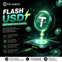 What Makes A Flash Usdt Software Development Com