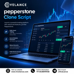 How To Launch A Forex Trading Platform With A Pe