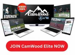 Camwoodbats. Com Free Shipping