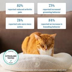 Kneadcats.com 10 Dollars Off On All Heated Cat B