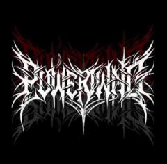 Powerwing. Co 10 Percent Off Total Order