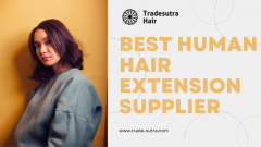 Human Hair Extensions  - Wholesaler And Supplier