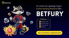 Launch Your Own Casino Gaming Platform With Betf