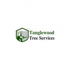 Reliable Tree Surgery Services In Dundee - Tangl