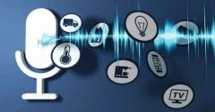 The Rise Of Voice Search In Travel Apps What You