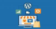 Essential Wordpress Plugins To Supercharge Your 