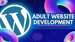 Best Adult Website Development Company In The Us