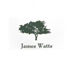 Elevate Your Green Spaces With James Watts Tree 