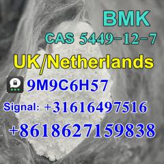 Bmk Glycidic Acid Sodium Salt Cas 5449-12-7 With