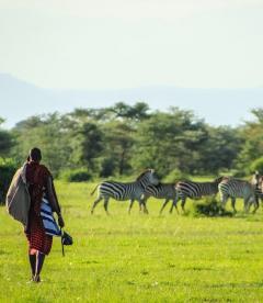 Masai Mara Safari & Mauritius All Inclusive Holi
