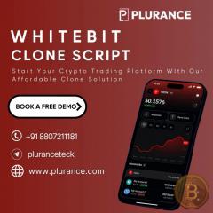 Jump Into The Crypto Market With Plurances White