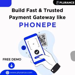 Start Your High-Revenue Payment Gateway Venture 