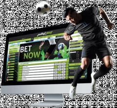 Best Sports Betting Software Providers