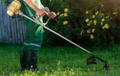 Get The Best Lawn Treatment With Us