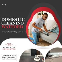 Avail Of Professional Services Of Domestic Clean
