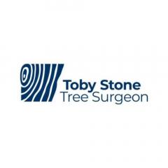 Trust Your Trees To Toby Stone Tree Surgeon In C