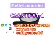 Best Price Methylamine Hydrochloride 593-51-1 Me