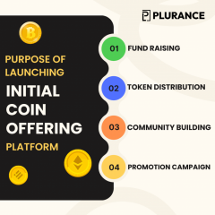 Create An Ico Platform To Raise Funds For Your S