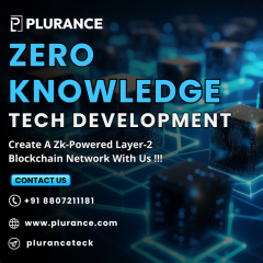 Access Plurances Zk Tech Development Services