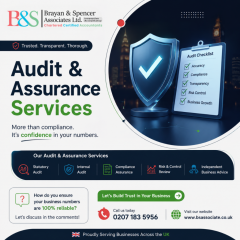 Audit & Assurance Services In London  Brayan & S