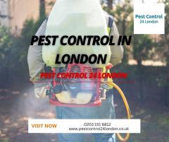 Pest Control London - Expert Solutions To Elimin