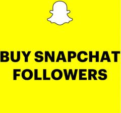 Buy Snapchat Followers - 100  Real & Verified
