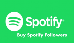 Buy Spotify Followers - 100 Real & Active