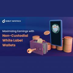 Non-Custodial White Label Crypto Wallets