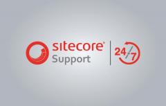 Expert Sitecore Support Services  Your Websites 
