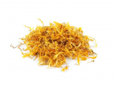 Wholesale Of Calendula From The Manufacturer At 