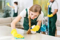 Choosing The Right Professional Cleaning Service
