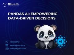 Pandas Ai Empowering Data-Driven Decisions