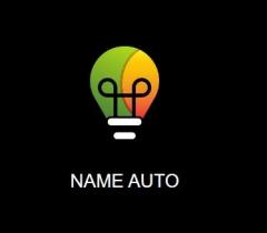 Name Auto Ltd