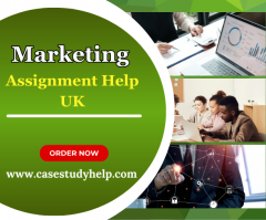 Seek Best Online Marketing Assignment Help Servi