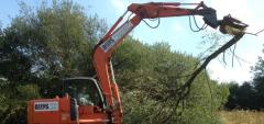 Excavate Excellence  Reed Plant Hire, Your East 